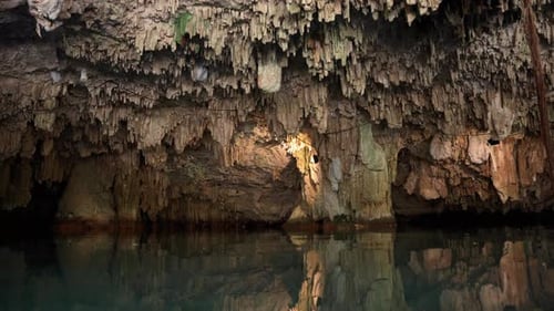 Cave Ceiling At Cenote In The Yucatan Peninsula Of Mexico. Static Shot