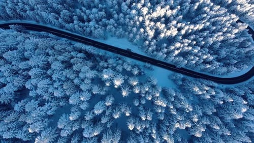 Top View Of Snowy Forest With Road During Winter - aerial drone shot