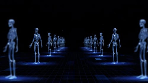 3D Human Skeletons on Digital Grid Medical Background