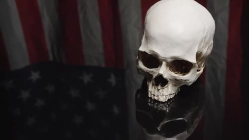 Skull with American Flag Reflection