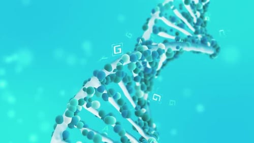 dna double helix