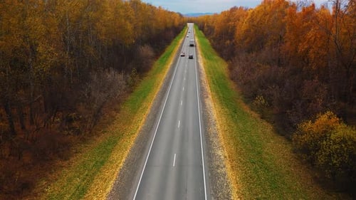 Autumn Drive Along a Scenic Highway Surrounded By Vibrant Fall Foliage