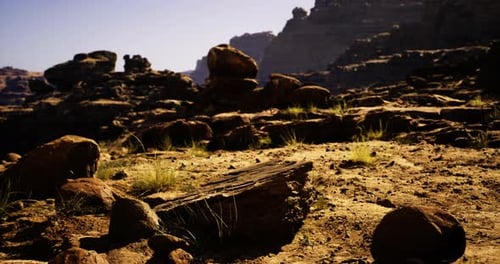 Unique Rock Formations in a Desert Landscape During Golden Hour