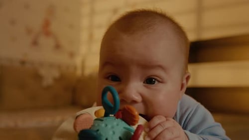 Baby Holding Toy Indoors