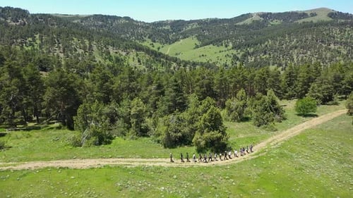 Group Of People Hiking On Forest Path And Landscape With Aerial Shot