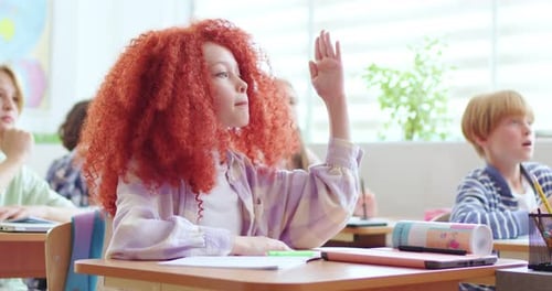 Students Raise Hands in Classroom at School
