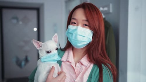 Stay at Home Pretty Chinese Girl and Her Adorable Chihuahua Dog Wearing Protective Medical Masks for