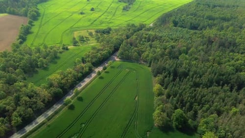 Luftaufnahme von Autos, die auf einer Straße zwischen Feldern und Wald in einer ländlichen Gegend fahren