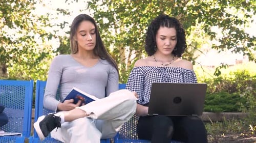 Female College Students Studying on Campus Bench Adult