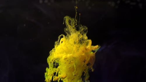 Colored Flowing Close Up. Beauty Animation Underwater Vibrant Spreading