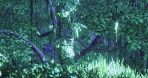 Dense Greenery in a Tranquil Forest Setting Filled with Vibrant Plants