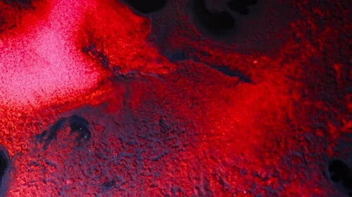 Intense view of red and black fluid pigments mixing in abstract visual motion