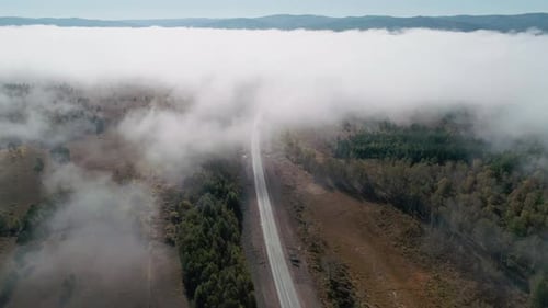 Aerial Panoramic View of an Intercity Road Between Green Trees with White Fog Clouds Over It