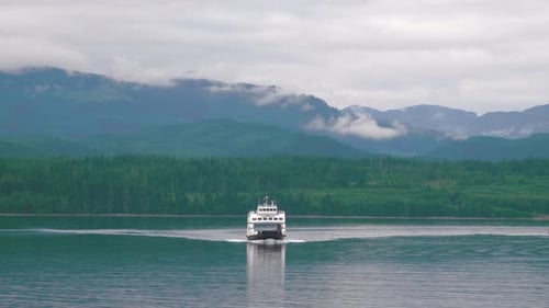 The ferry is sailing on the lake in the gorge.