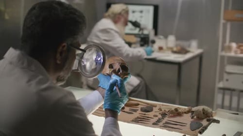 Archaeologist Cleaning Skull under Magnifying Glass in Laboratory