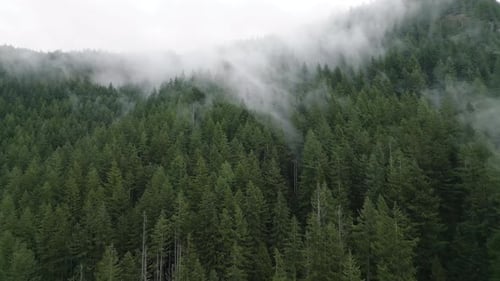 Aerial View of Beautiful Mountain Landscape Fog Rises Over the Mountain Slopes