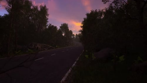 Serene Forest Road at Sunset with Vibrant Sky