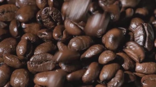 Slow motion of roasted coffee beans falling. Organic coffee seeds.