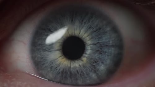 Weite Öffnung des blauen Auges