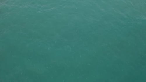 Foto de la playa con un Zumbido
