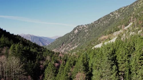 Aerial over pine tree forest mountain valley during the day