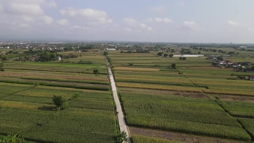 Aerial drone view of traditional village surrounded by forest and rice field in Indonesia.