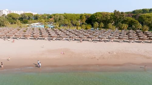 Aerial View of Umbrellas Palms on the Sandy Beach People Blue Sea with Waves at Sunset