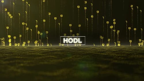 Matrix Binary Code And Hodl Word 4 K
