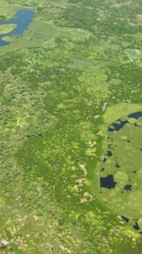 Agusan Marsh Wildlife Sanctuary in the Philippines