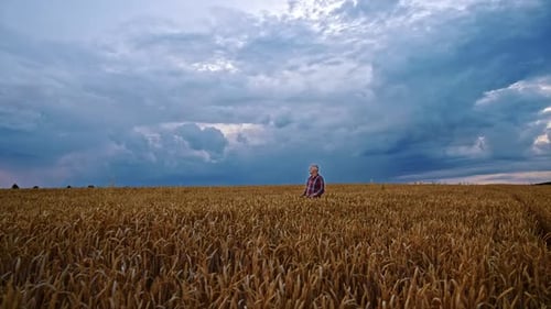 Lonely old man in checkered shirt stands in the big yellow field of wheat.