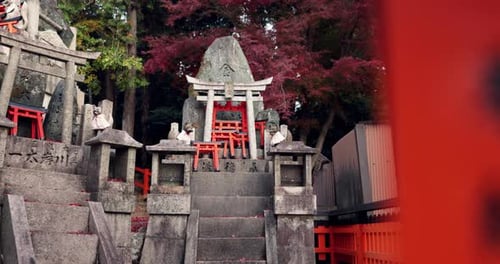 Stone Shinto shrine with Torii gate, statue and peace on travel with spiritual history in Kyoto