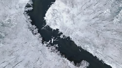 Top down view of river and snow-covered forest in winter.
