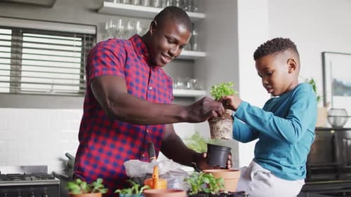Adult and Child Planting Together in Kitchen