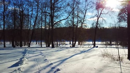 Winter, Nature, February 2022 17