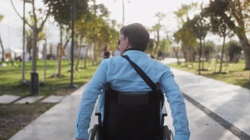Back View Shot of Wheelchair User at the Park Disability Lifestyle Motivation Concept