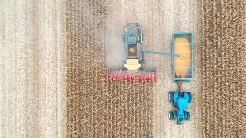 Aerial Shot of Combine Loading Off Corn Grains Into Tractor Trailer