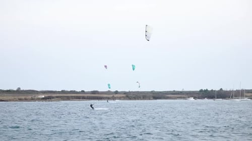 Multiple kite surfers ride the waves as their colorful kites fill the sky, creating a captivating di