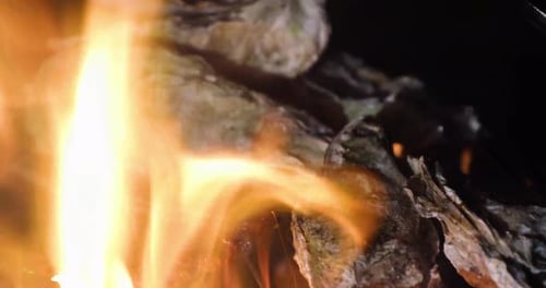 Of Blazing Fire And Oyster Cooking In A Charcoal Griller. close up