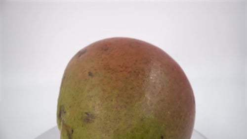 Mango close up on white background isolated 4K