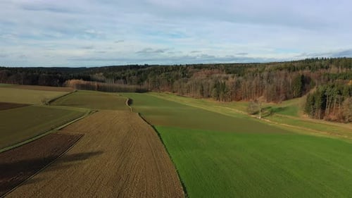 Fresh sowing field, agriculture theme. Small hills, forest visible in the distance The quadcopter sl