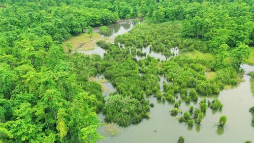 Aerial View of a Dense Atlantic Forest with a Winding Waterway Serra Do Mar Mountains in the