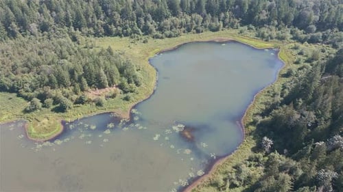 Aerial View of Lake and Green Trees in Forest Around Mountain Landscape
