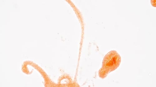 Abstract Orange Liquid with Gold Flecks on White