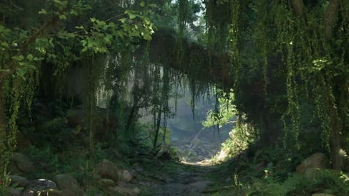 A Scenic Dirt Road Winding Through the Beautiful Landscapes of New Zealand
