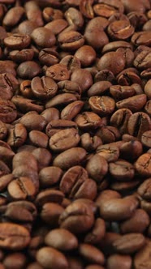 Vertical video roasted coffee beans close up rotate as background. Aromatic coffee for advertising