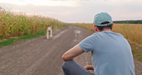 Farmer Sitting on Rural Dirt Road and Calling Dog Running Toward Him Near Corn Field
