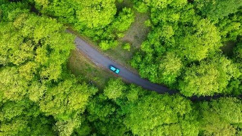 Aerial top view of car moving on the road in forest