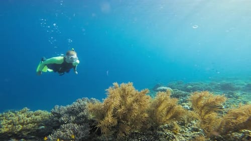 A professional freediver in a full body swims gracefully above a vibrant coral reef.