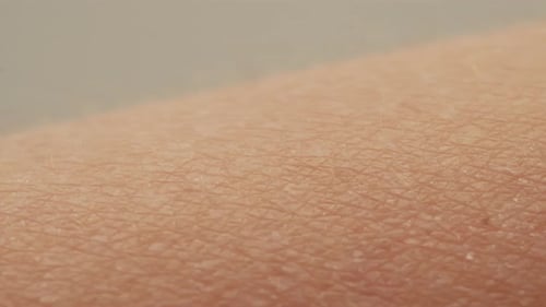 Handoberfläche mit Haar, Nahaufnahme, Reaktion der menschlichen Haut auf Kälte oder Angst, Arm auf schwarzem Hintergrund, statisch