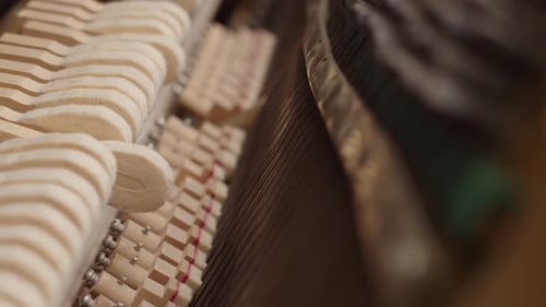 View From the Inside of Piano Hammer Closeup